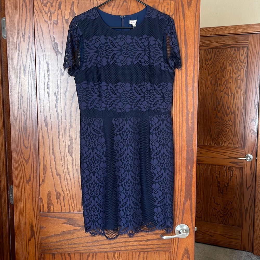 NWT lace Dress
